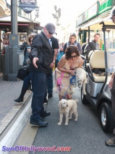 ashleyjudd_extra_puppy_grove_sunofhollywood_06