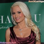 Holly Madison Beautifully Smiles... On A Red Carpet... Again