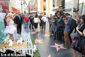 courtney stodden peta sheep sheering hollywood highland garry sun prophecy sunofhollywood 05