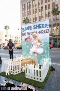 courtney stodden peta sheep sheering hollywood highland garry sun prophecy sunofhollywood 09