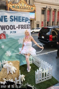 courtney stodden peta sheep sheering hollywood highland garry sun prophecy sunofhollywood 18