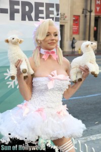 courtney stodden peta sheep sheering hollywood highland garry sun prophecy sunofhollywood 21
