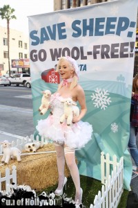 courtney stodden peta sheep sheering hollywood highland garry sun prophecy sunofhollywood 23