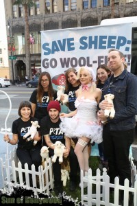 courtney stodden peta sheep sheering hollywood highland garry sun prophecy sunofhollywood 28
